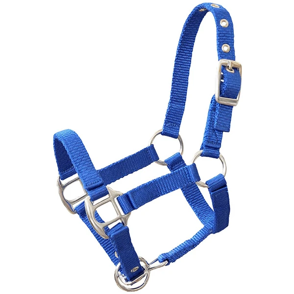 Helga Kreft Tuinpaardenset Tamme, Blauw 5 Helga Kreft Tuinpaardenset Tamme, Blauw - Afbeelding 5