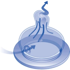 Nip Girl Wide-hals Fles PP 260 Ml Siliconen Speenmelk Maat 0+ Circus Jongen -Goedkope Babyproducten nip girl wide hals fles pp 260 ml siliconen speenmelk maat 0 circus jongen a224210 4